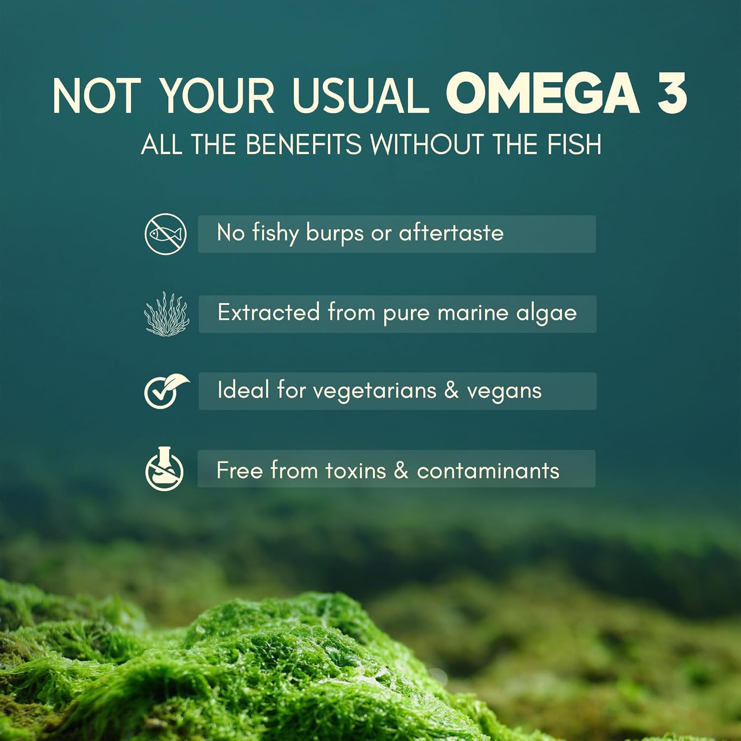 Omega 3 - Plant Based - 60 Strips
